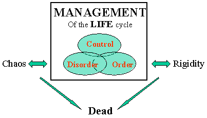 Management of the Life Cycle